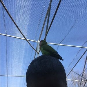 Meet your Posher, Tiffany